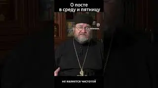 О посте в среду и пятницу. Протоиерей Олег Стеняев. #православие #проповедь #пост