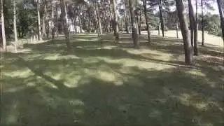 Hoverthings Flip 260 - FPV forest freestyle relax
