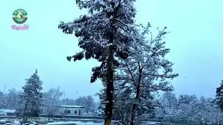 Kabul - Afghanistan Snow Fall | 2024/2/3 | د کابل جان ښایسته واورینه فضاء