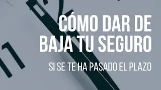 ¿Cómo puedo cancelar mi póliza si se me ha pasado el plazo? | Basilea Abogados
