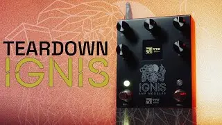 O que tem dentro desse AMP Modeler Brasileiro? // VTR Effects Teardown #21