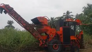 Amazing Sugarcane Harvester Machine / Brand - Shaktiman #essenceworld #sugarcanecutting