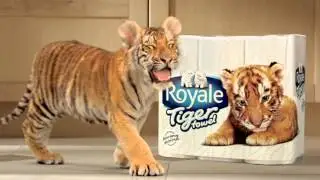Soft, Strong & Thirsty