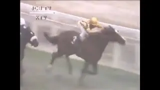 GP Presidente Em&iacute;lio Garrastaz&uacute; M&eacute;dici (G2) 1988 -Jarmon