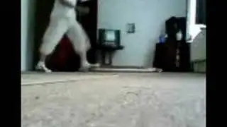 Hardjump by Anubis (die Erste)