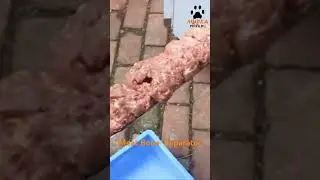 Мурка Станок механической обвалки (Сепаратор) FB-200  pilam.ru
