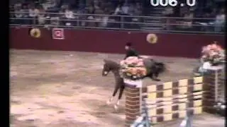 Paul Darragh - Young Diamond - GP Olympia London 1980