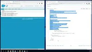 Javascript SOQL in Visualforce to get JSON with Code Example