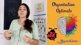 💚🌎 Comment utiliser son plein potentiel avec Organisation Optimale en Brain Gym