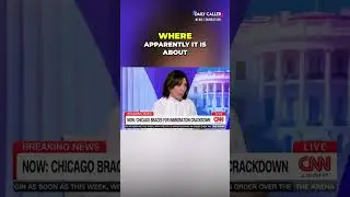 Scott Jennings TRIGGERS CNN panel by stating the obvious: illegal entry = crime