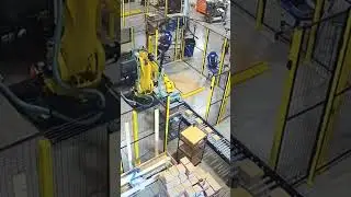 Box palletizing robot. This setup with two pallet build zones is very cost-effective.