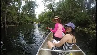 Double P Journey [EP.20] Wekiwa Springs, Kayaking with Alligators