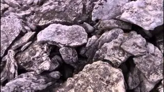 Megatransect The Final Cut Boulder Field 2015