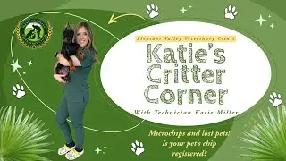 Let&rsquo;s talk microchips and lost pets!