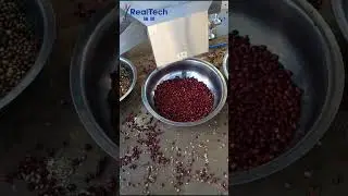 cherry coffee sorting machine fresh coffee color sorter
