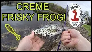 Creme Lures Frisky Frog is amazing for mutli-species fishing!