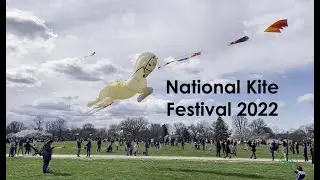 National Kite Festival 2022 at Washington DC | Blossom Kite Festival