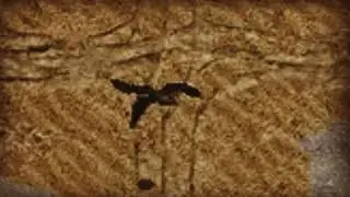 2 Ravens inside lighting storm