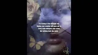 Do you miss me too?  - Lyrics,  (VNsub in comment)