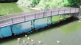 الطبيعة جميلة تصوير drone dji mini 3 pro