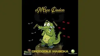 Crocodile Masicka