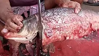 একদম পরিষ্কার ও দ্রুত মাছ কাটার ভিডিও | Fish Cutting Skill