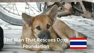 The incredible work of the TMTRD Foundation