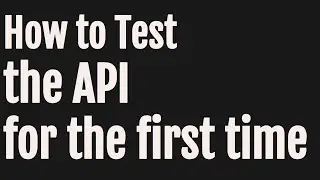 How to Test the API for the first time