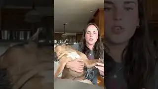 Virtual Show and Tell