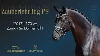 Zauberlehrling PS - Dressurkollektion 2022 Schockemöhle & Helgstrand (DEU)