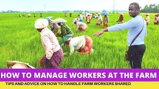 HOW to MANAGE Workers At The FARM - TIPS For Every Farmer