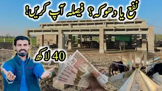 Bichra Farm Business | Profit Hai Ya Dhoka? Complete Calculation
