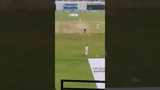 Pat Cummins Bowling Action #bgt #bordergavaskartrophy #indvsaus