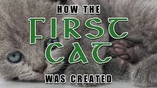 How the First Cat Was Created | A Legend from Irish Christian Folklore
