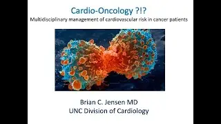 Cardiotoxicity of Cancer Therapies: A Review for the Oncology Provider - B. C. Jensen - 20211215