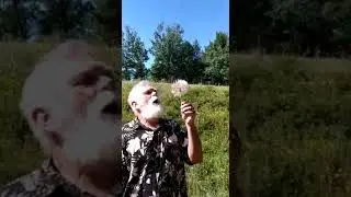 Make a Wish