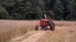 Cutting Wheat with Sickle Mower
