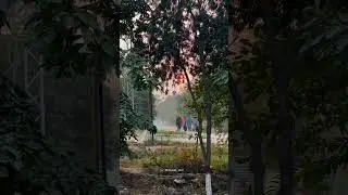 University of agriculture Faisalabad sub Campus Toba tek singh