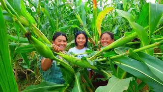 Beautiful Nepal Mountain Village Simple Happy Lifestyles Unseen Nepali Village Life Nepal Village