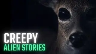 CREEPY Alien Stories - 3 More Terrifying True Stories About Alien Encounters and UFO Sightings