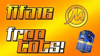 AWESOME FREE TOTS CARD in FIFA 16?!