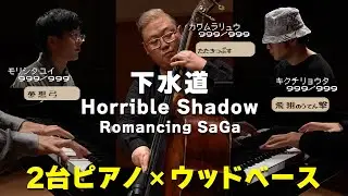 [Romancing SaGa] Horrible Shadow [Piano Cover]