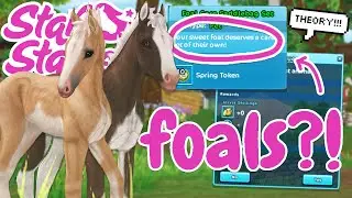 FOALS BEING ADDED TO STAR STABLE? 😱 *Theories & Spoilers*