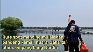 Review of the fishing spot route at Bang Nurdin Kamal's pond in North Jakarta