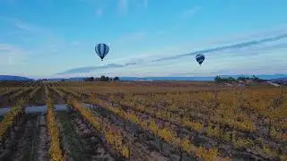 download the Temecula Life app. Temecula wine country