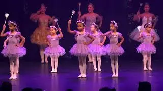 Fadas Lilases - 1ª sessão - Espetáculo de Celebração - GAED 2025