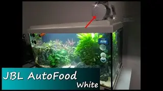 JBL AutoFood White (Deutsch)