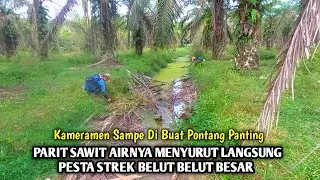 PESTA STREK MANCING BELUT DI PARIT SAWIT SAAT AIRNYA MENYURUT