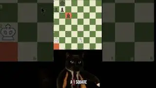 How can we save this game by draw? #chess #cat #bishop #endgame #brilliant