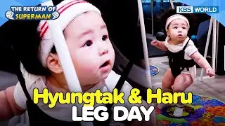 The Shims Workout Routine💪 [The Return of Superman:Ep.584-5] | KBS WORLD TV 250810